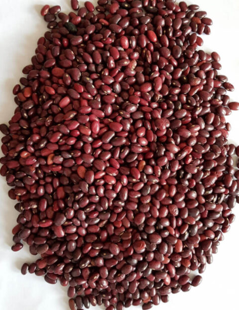 ethiopian-red-kidney-beans-south-type-rupshri